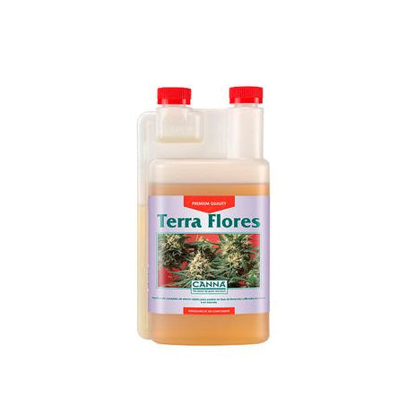 Terra Flores // Canna