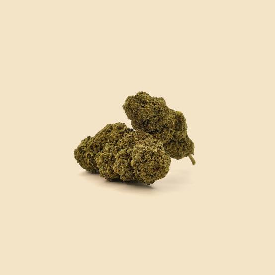 MAGIC DIESEL