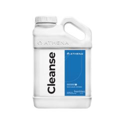 Cleanse Athena