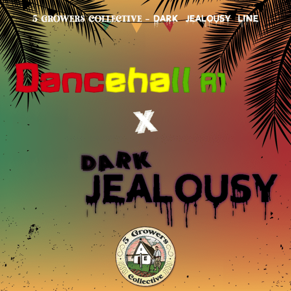 Dancehall x Dark Jealousy. Dancehall (Reggae Seeds Cut) x Dark Jealousy// 6und.PACK