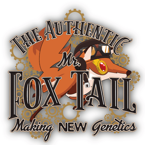 TURPENTINE. Clementine Kush x Super Silver Haze