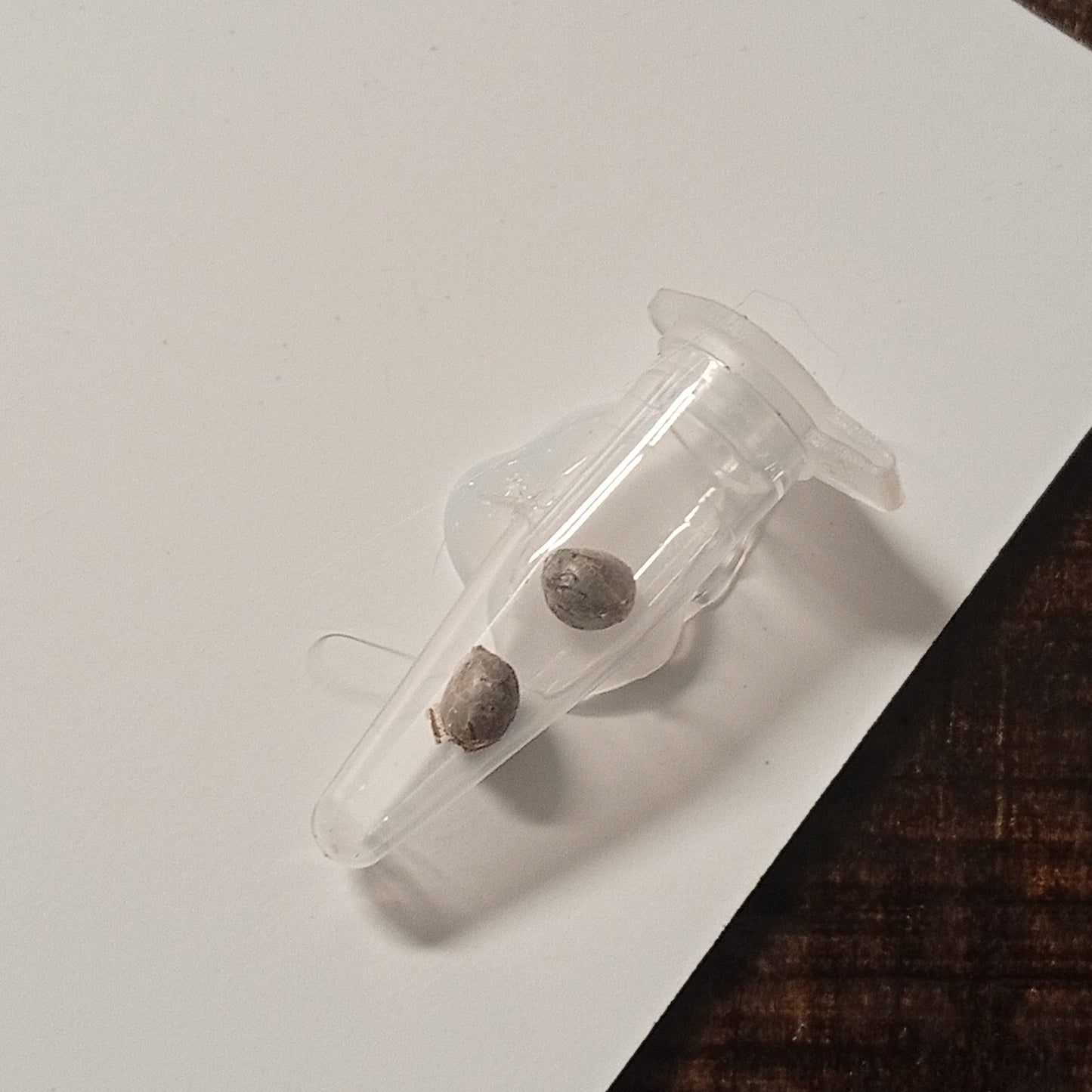 TERMINATOR // 2und. PACK