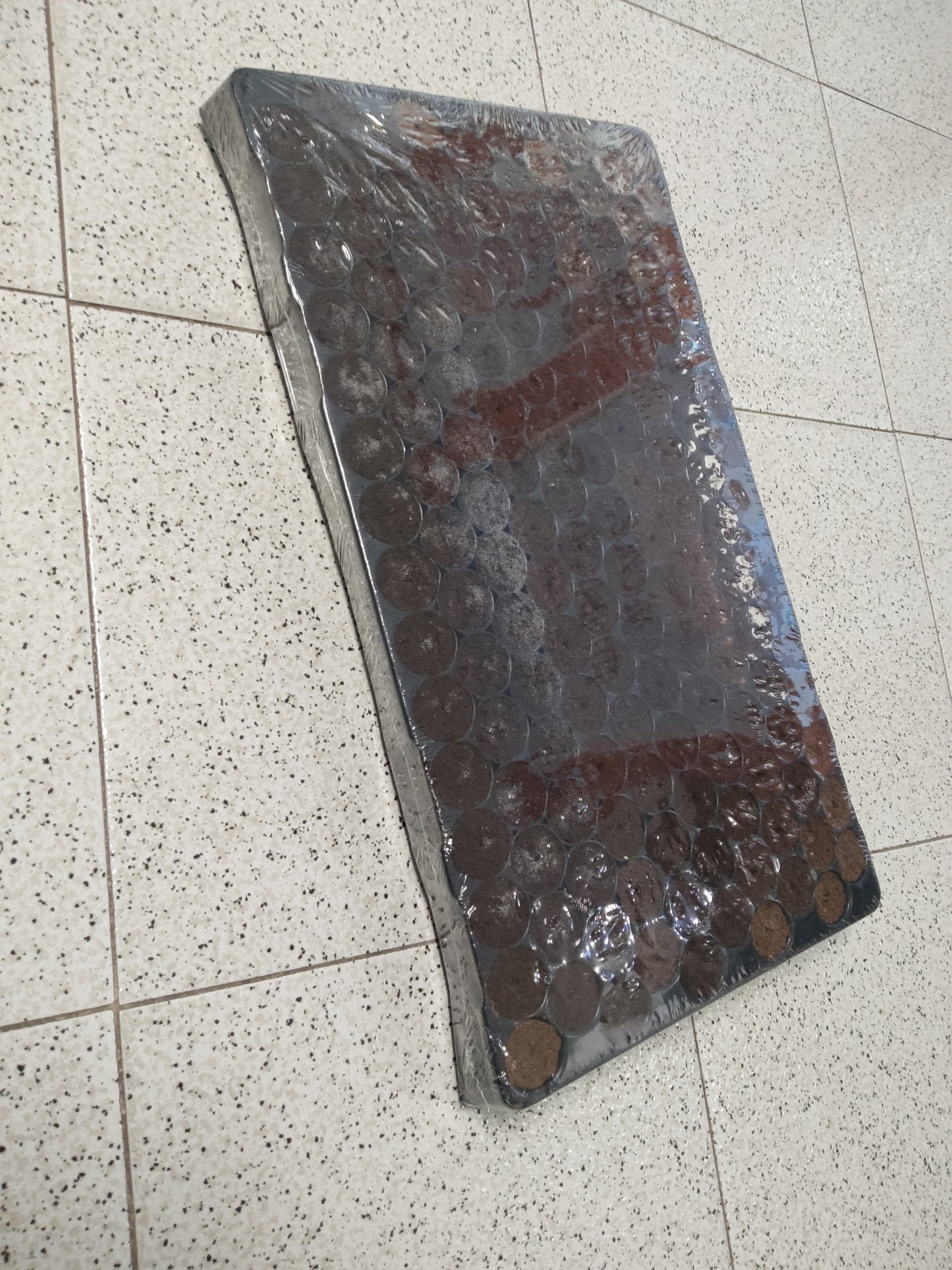 Bandeja Clones 150 alveolos