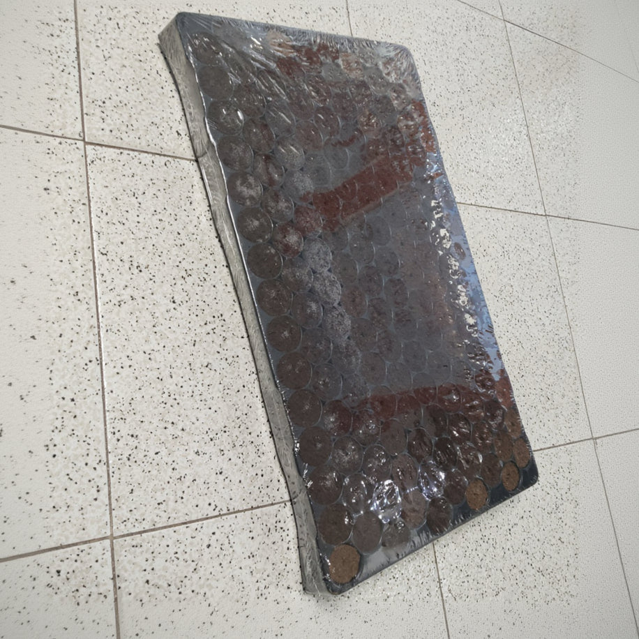 Bandeja Clones 150 alveolos