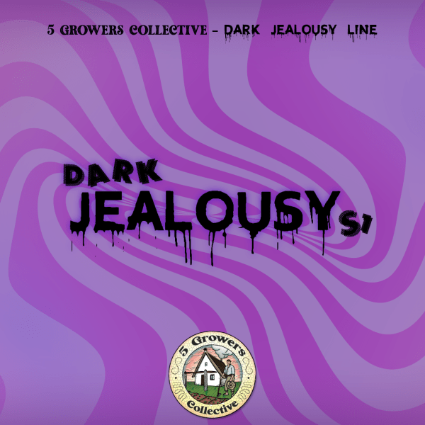 DARK JEALOUSY S1. Gelato 41 x Jealousy 6und +1//PACK