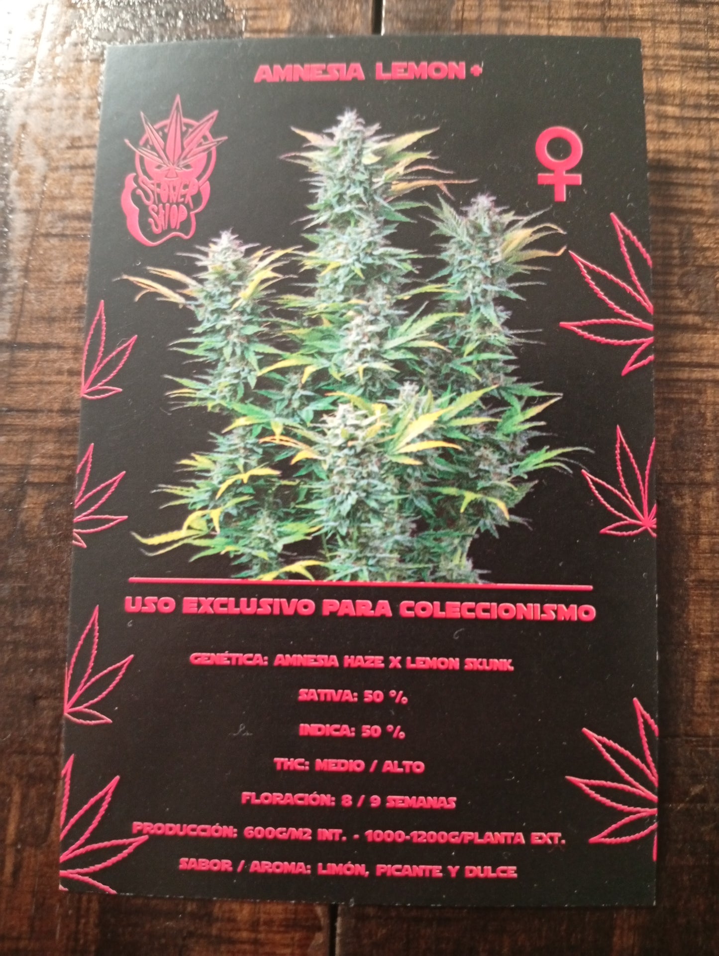 AMNESIA LEMON // 2und. PACK Amnesia Haze x Lemon Skunk