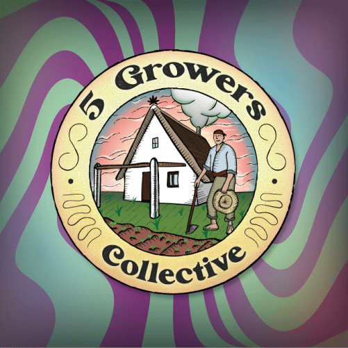 NUGGET'S DREAMS. (Super Skunk x Red Skunk) x Dark Jealousy // 6und PACK