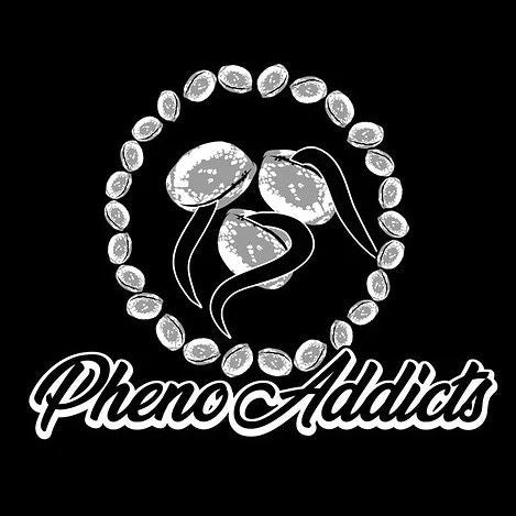 BAD MAMA JAMAS. 6und. Georgia Pie x Bebesita