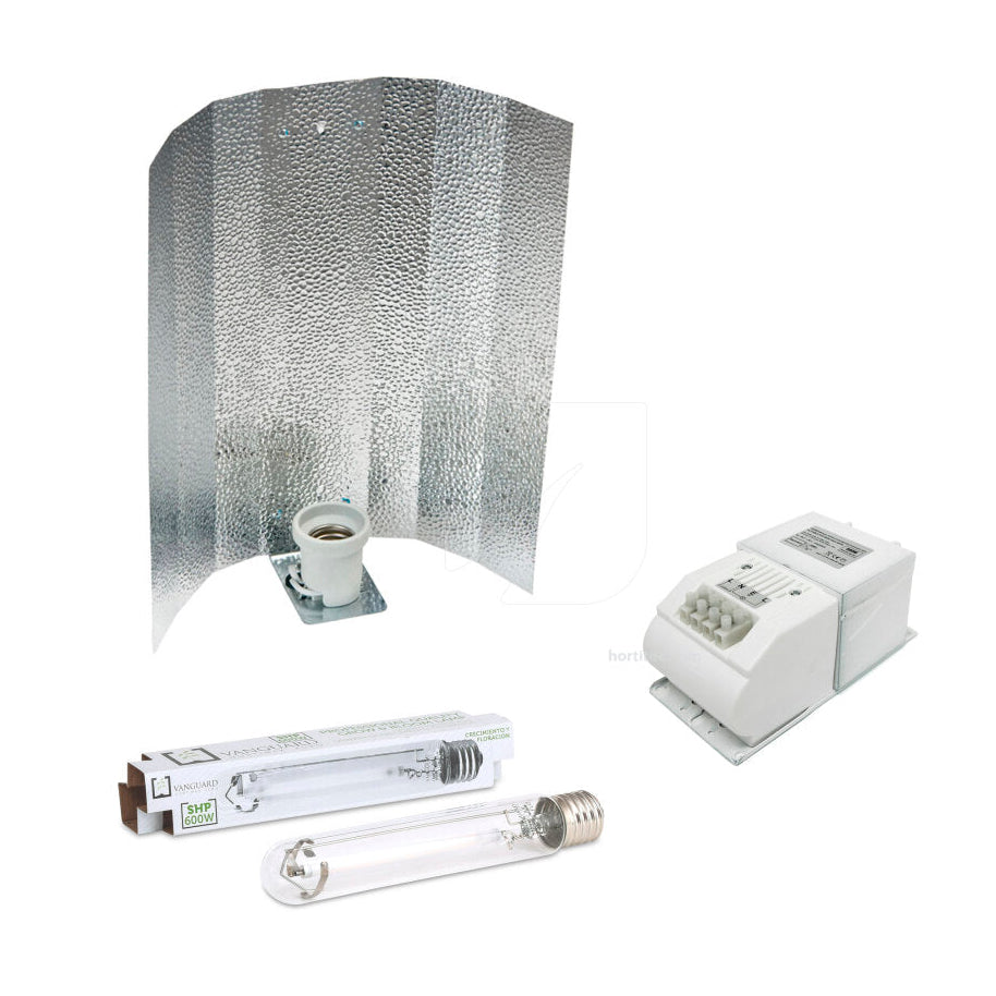 KIT VANGUARD CLASE I 600W AMARTILLADO ASIA