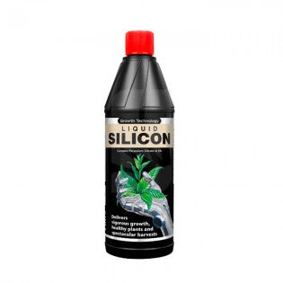 Liquid Silicon
