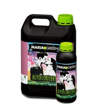Autoflow Maria Green