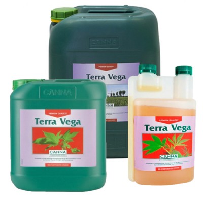 Terra Vega // CANNA