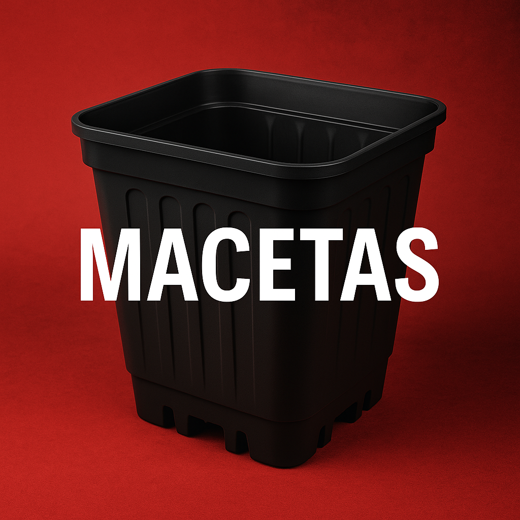 MACETAS