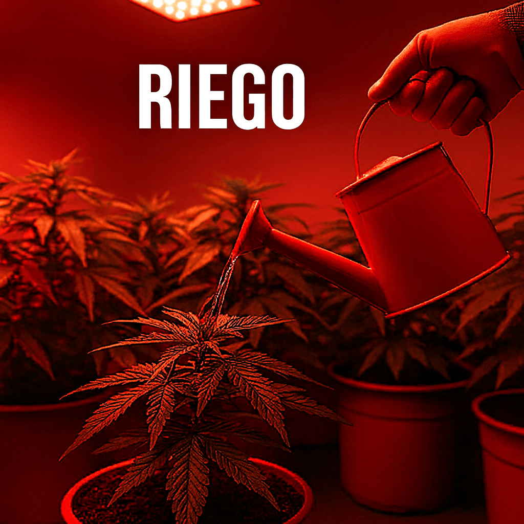 RIEGO - StonerShopGrowShop
