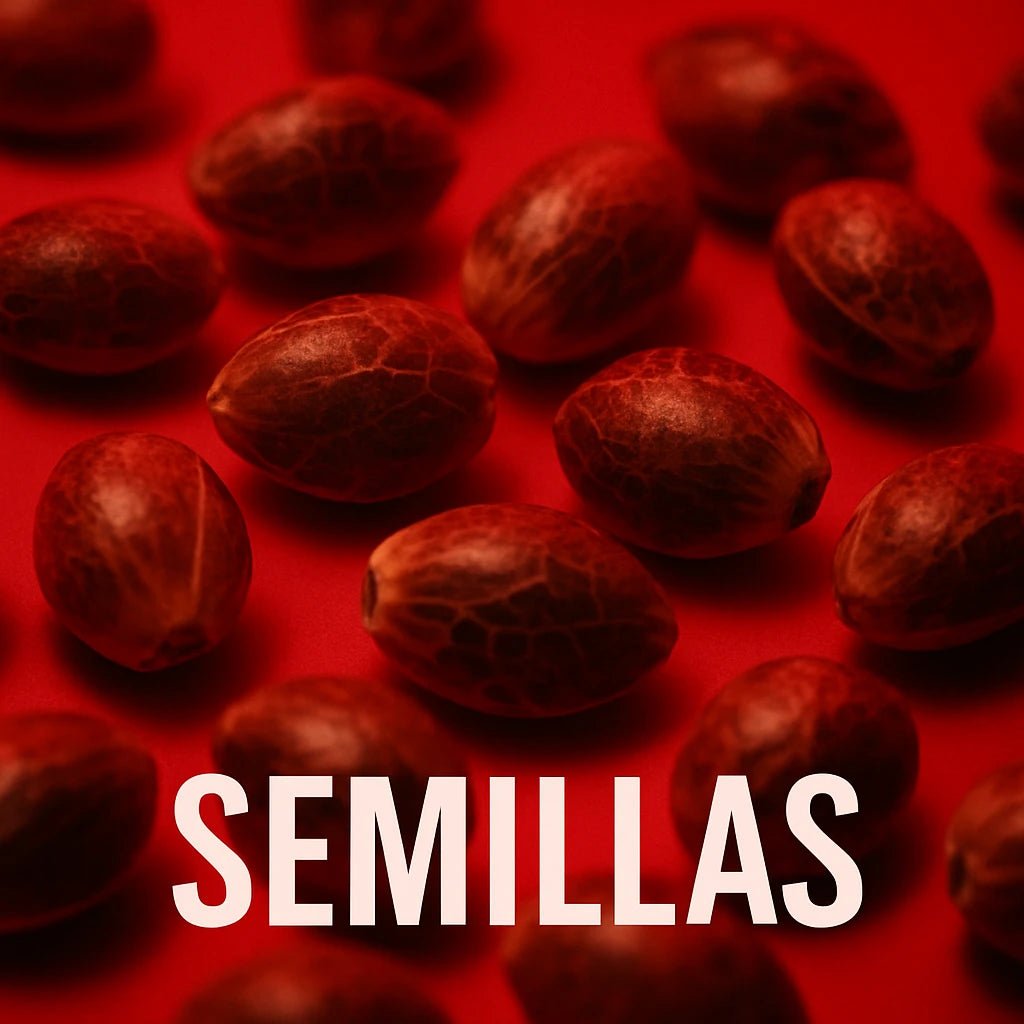 SEMILLAS - StonerShopGrowShop