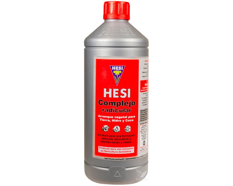 Complejo Radicular // HESI