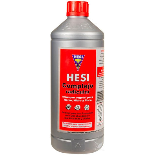 Complejo Radicular // HESI