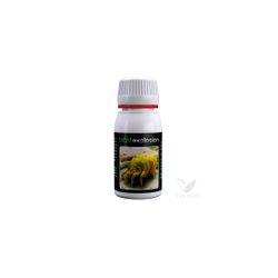 Total Explosion 60 ml
