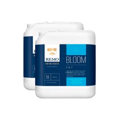 BLOOM // REMO