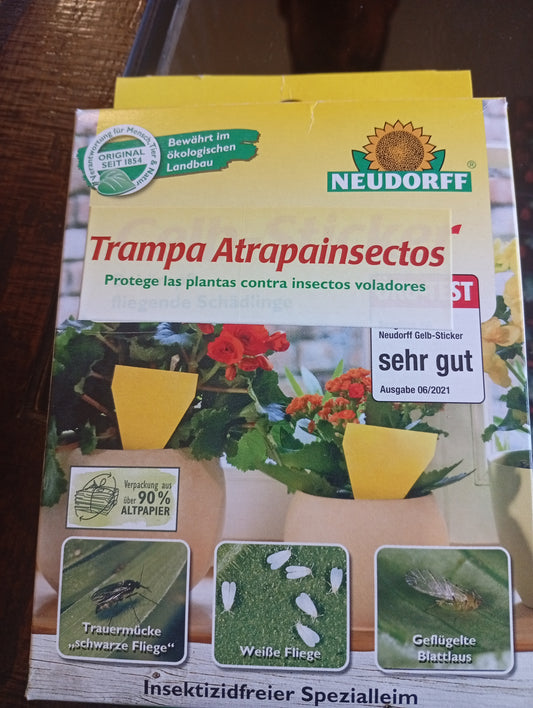 Trampas adhesivas amarillas Triangulares