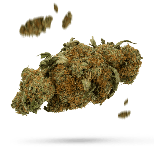 CBD Amnesia High Pro - StonerShopGrowShop