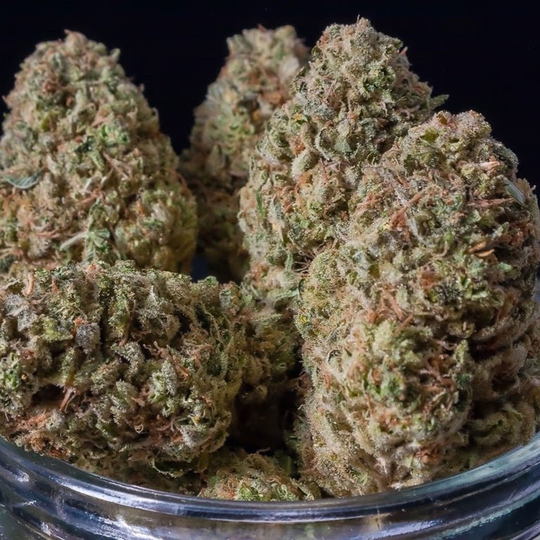 CBD BlueBerry SmallBuds 7,5g - StonerShopGrowShop