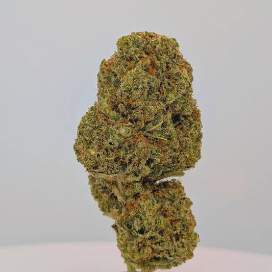 CBD TROPICAL MANGO - StonerShopGrowShop