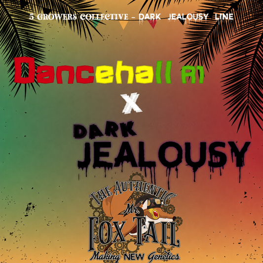 Dancehall x Dark Jealousy. // 6und.PACK