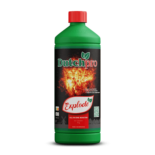 Dutch PRO Explode - StonerShopGrowShop