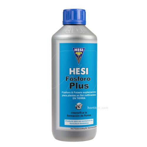 Fósforo Plus // HESI