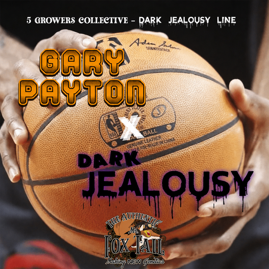 Gary Payton x Dark Jealousy // 6und PACK