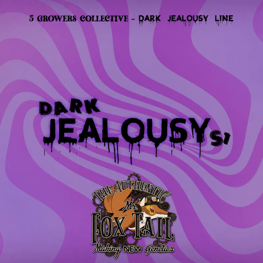 Gelato 41 x Jealousy //6und - StonerShopGrowShop
