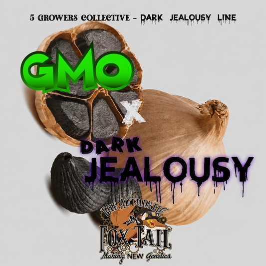GMO x DARK JEALOUSY.    // 6und. PACK