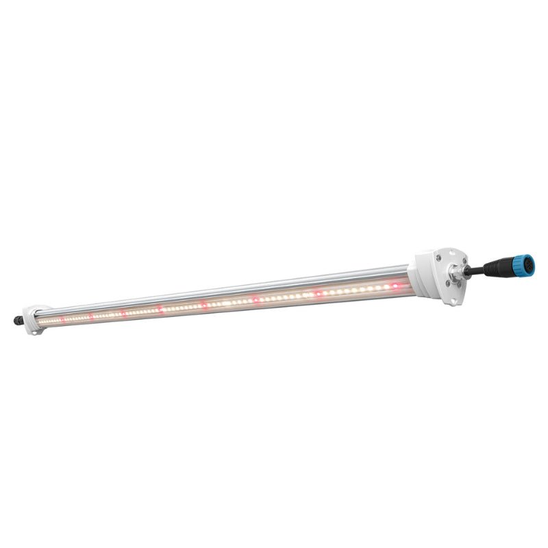 Inter Canopy LED - StonerShopGrowShop