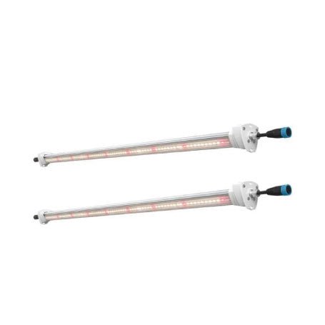 Inter Canopy LED - StonerShopGrowShop