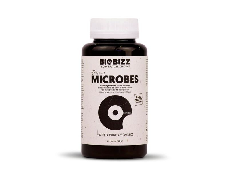 Microbes