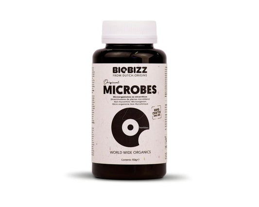 Microbes