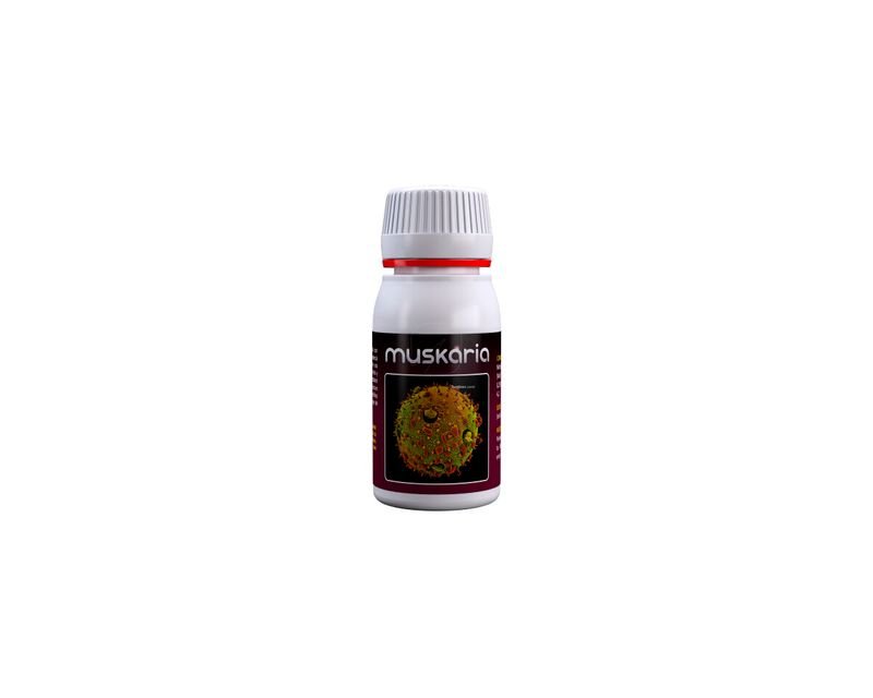 Muskaria 60 ml - StonerShopGrowShop