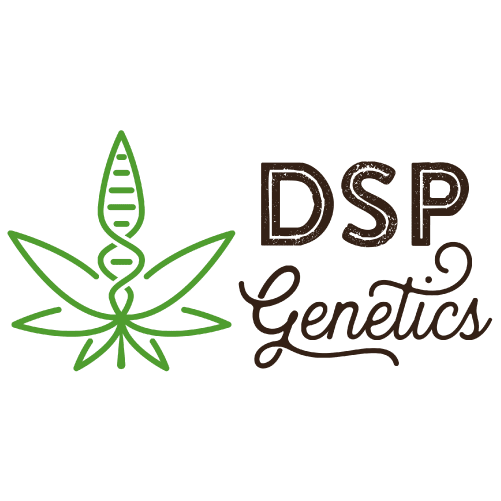 PLATINUM COOKIES. 7und. Double Berry Cookies S1 (Platinum Huckleberry Cookies BX2 4 S1) - StonerShopGrowShop