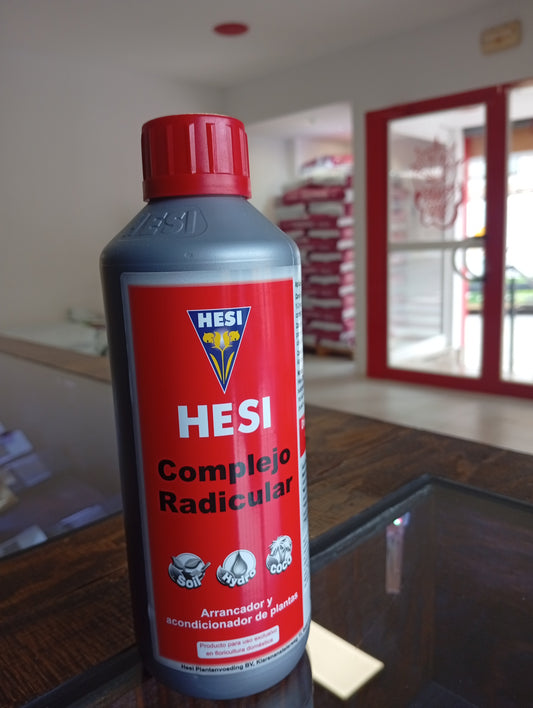 Complejo Radicular // HESI