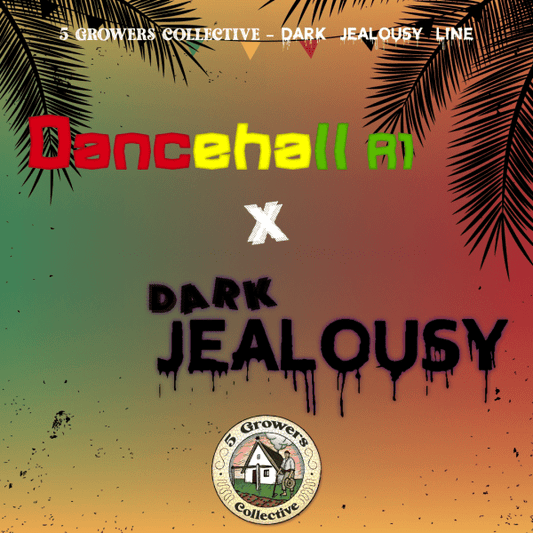 Dancehall x Dark Jealousy.           Dancehall (Reggae Seeds Cut) x Dark Jealousy// 6und.PACK