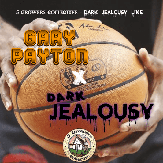 DARK GLOVE                         Gary Payton (Cookies Fam Cut) x Dark Jealousy // 6und PACK