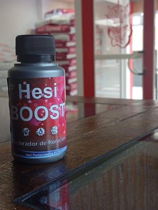 Boost // HESI