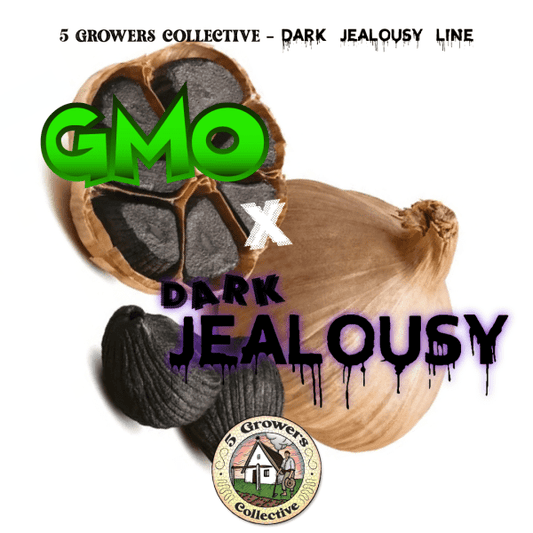 GMO x DARK JEALOUSY.   GMO (Skunkmasterflex Cut) x Dark Jealousy // 6und. PACK
