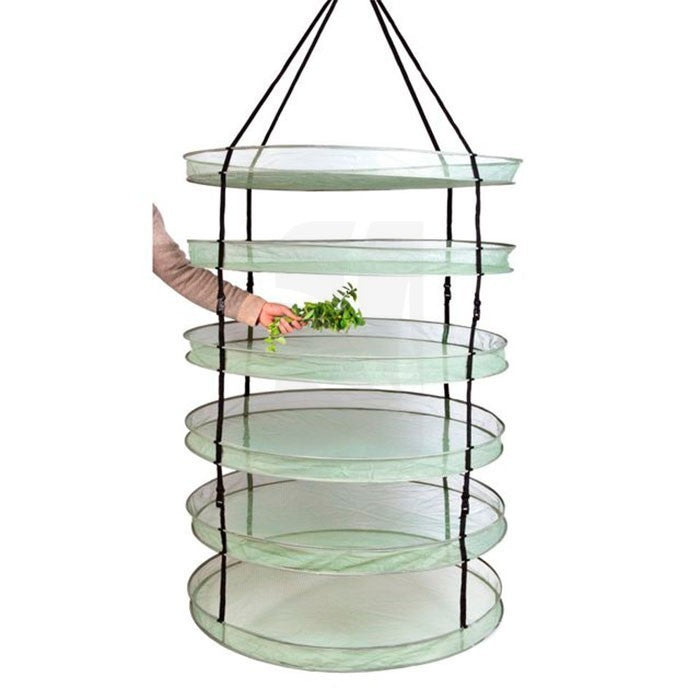 Secador Dark Box Dryer