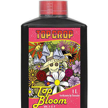 Top bloom