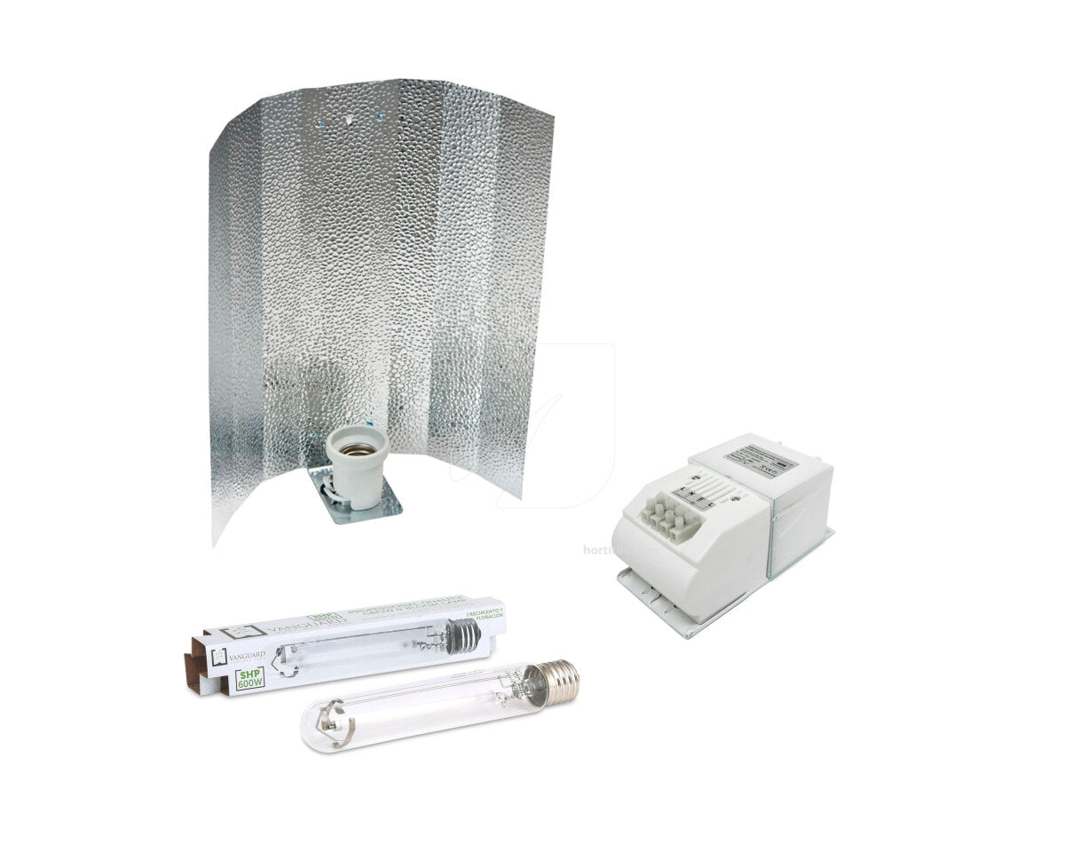 KIT VANGUARD CLASE I 600W AMARTILLADO ASIA