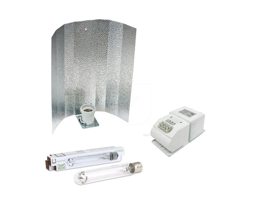 KIT VANGUARD CLASE I 600W AMARTILLADO ASIA