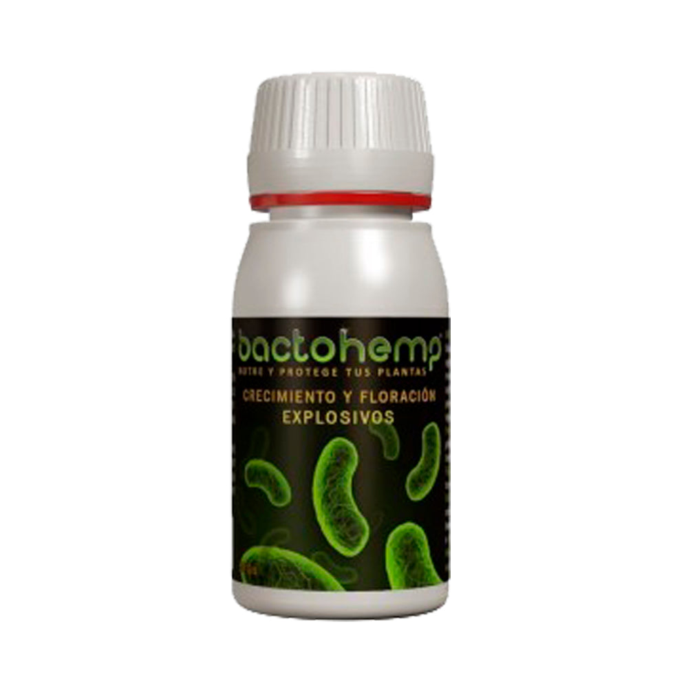 BACTOHEMP