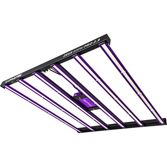 ZEUS PRO 2.9 600W